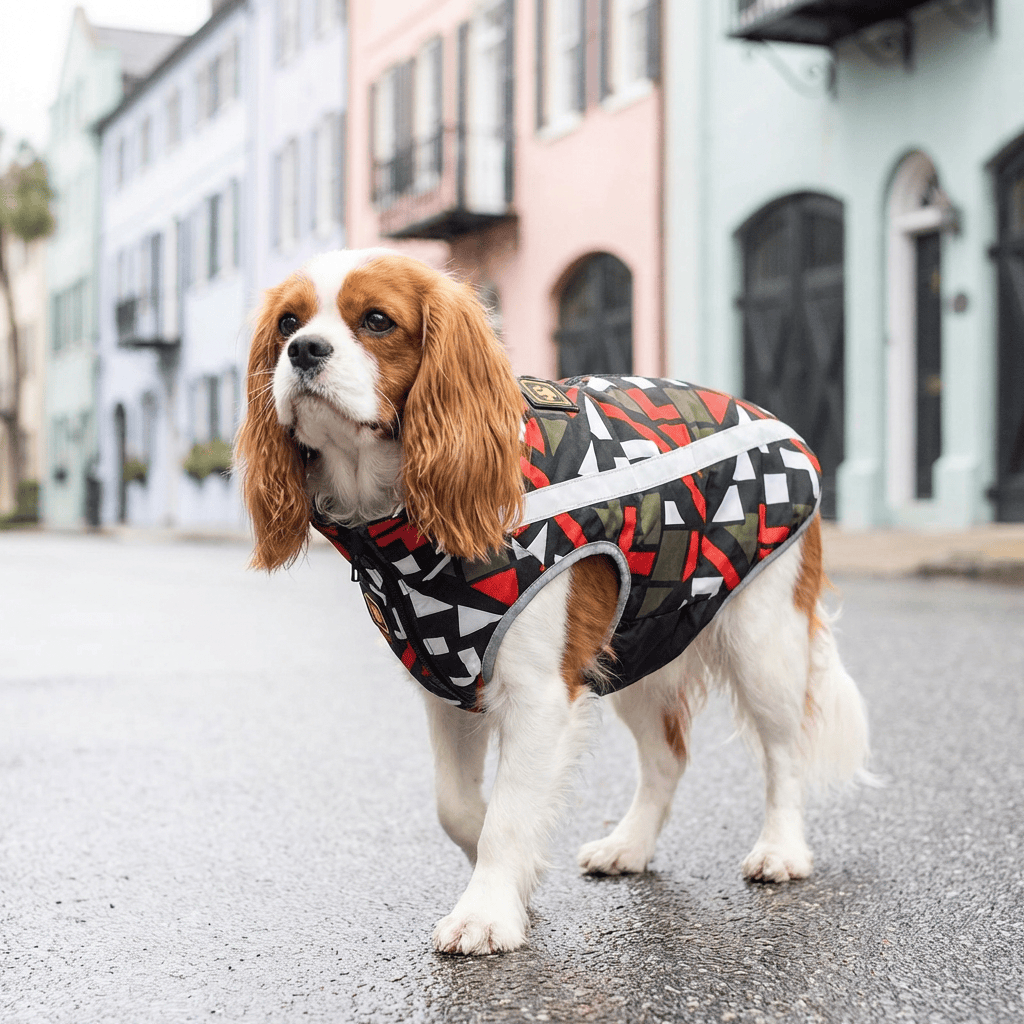 Water Resistant Dog Mesh Jacket on a Cavalier King Charles Spaniel walking in the rain, featuring a stylish geometric pattern.