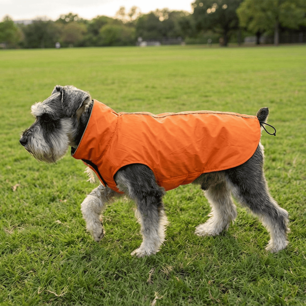 Waterproof Outdoor Jacket for Pet on a dog, orange color, features reflective strip, suitable for dogs and cats.