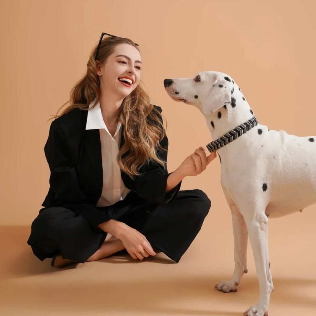 ColorSplash Handmade Dog Collar on a Dalmatian, showcasing vibrant style and adjustable comfort for pets.