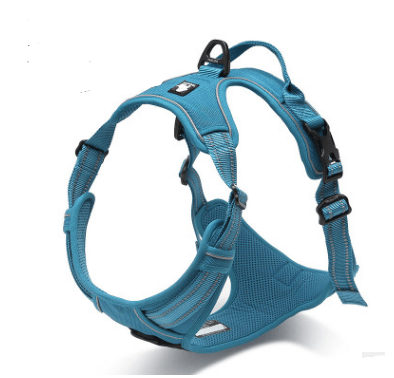Comfortable Safety Harness for Dogs - Lightweight, breathable mesh design for comfort & control. Ideal for Dogs & Cats.