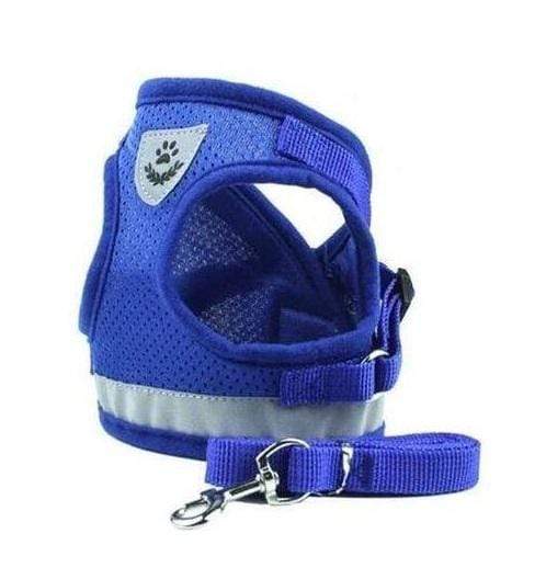 Dog Harness Leash Set featuring a lightweight, adjustable design with soft air-mesh padding for comfort, by Dogs & Cats.