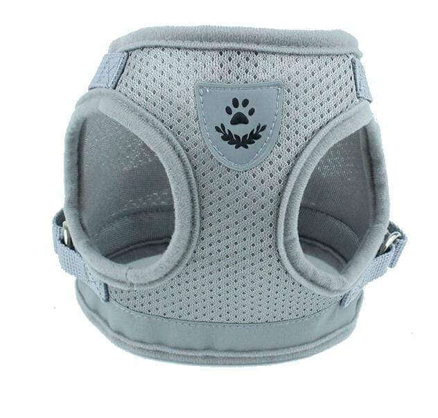 Dog Harness Leash Set featuring breathable air-mesh, adjustable straps, and D-ring for leash attachment.