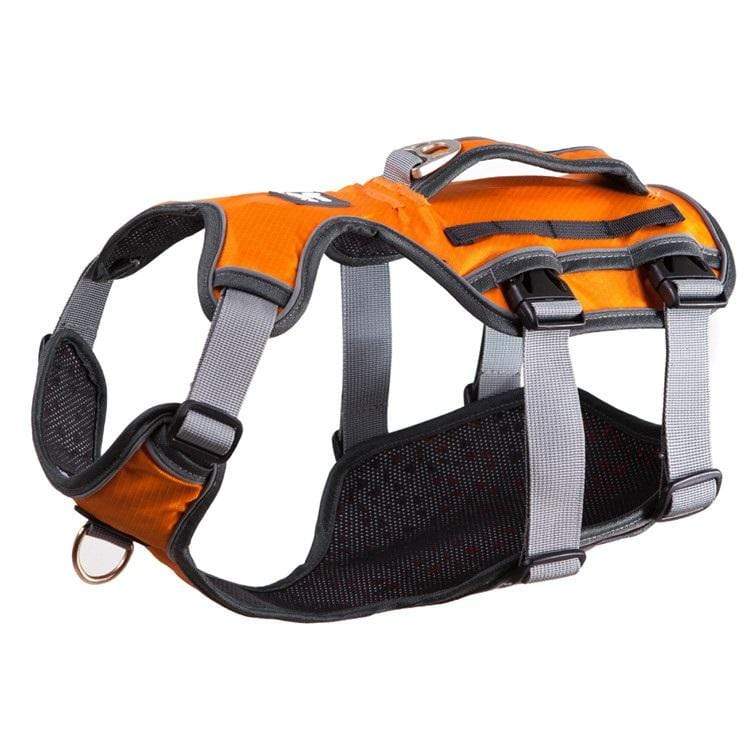 Dog Thoracolumbar Harness featuring durable fasteners, secure fit, and breathable mesh for comfort. Ideal for Dogs & Cats.