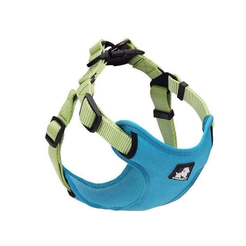 Full Adjustable Dog Harness in blue and green, featuring breathable material, adjustable fastener, and D-ring for leash attachment.