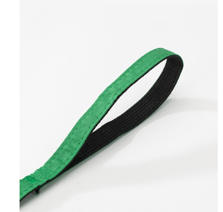 Green Dino Puppy Harness Set adjustable strap for dogs featuring green fabric with padded inner lining.