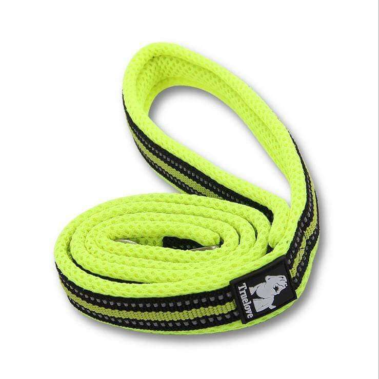 Highly Durable Dog Leash by Dogs & Cats brand, featuring a strong design suitable for all weather conditions.