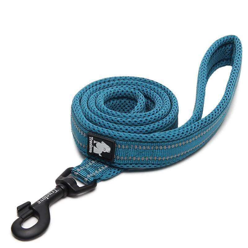 Highly Durable Dog Leash by Dogs & Cats, features strong and weather-resistant material for secure outdoor walks.