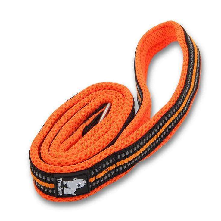Highly Durable Dog Leash - orange, strong, suitable for all weather conditions by Dogs & Cats