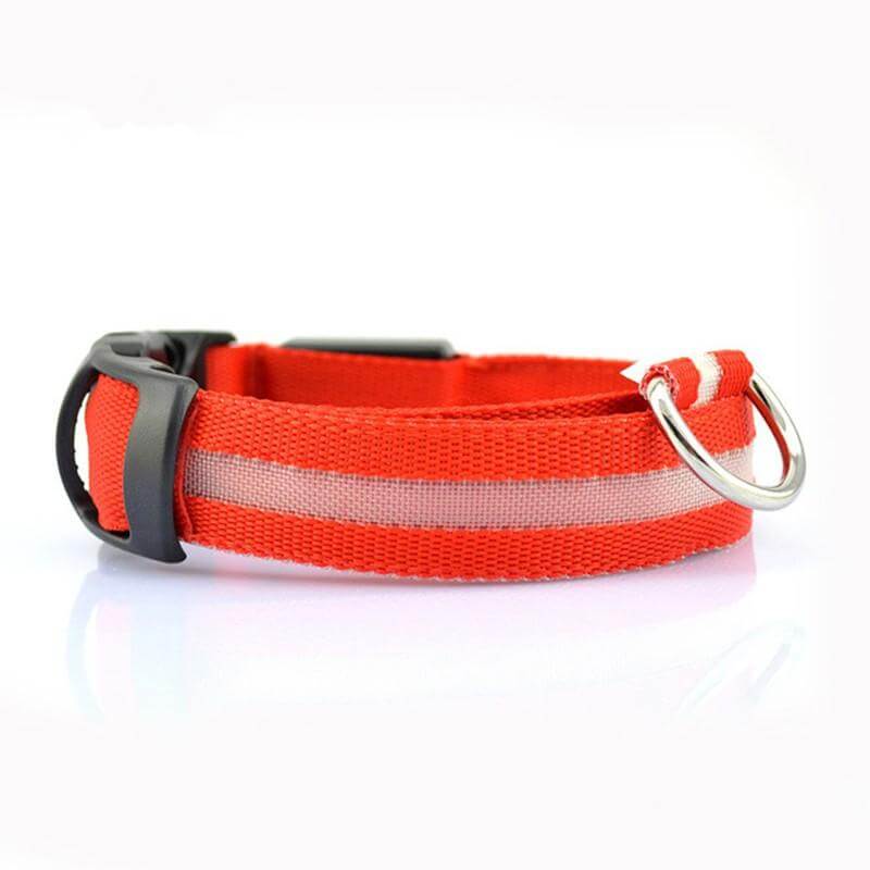 Rechargeable Flashing Light Collar for Dogs, LED safety collar, bright visibility, durable D-ring, perfect for night walks