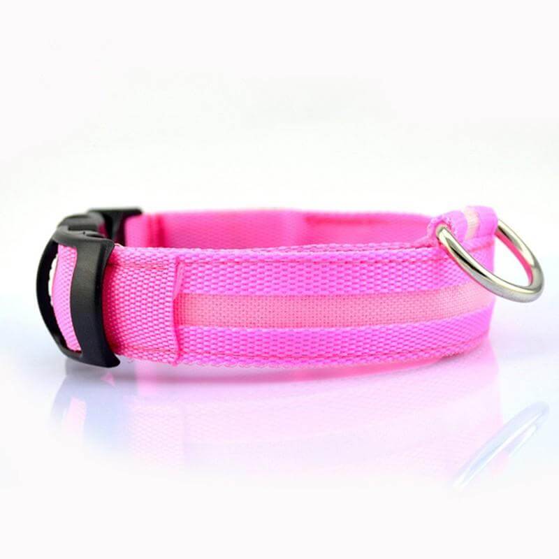 Rechargeable Flashing Light Collar for Dogs, pink safety collar with durable D-ring and buckle for dogs and cats.