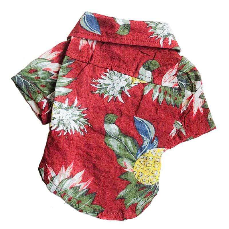 Teddy Hawaiian Small Dog Shirt, tropical print, easy to wear, perfect for summer outings, Dogs & Cats brand.