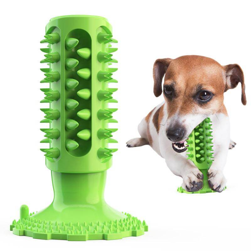 Teeth Cleaning Dog Toothbrush for dogs, eco-friendly TPR material, soft bristles, and bite resistant design.
