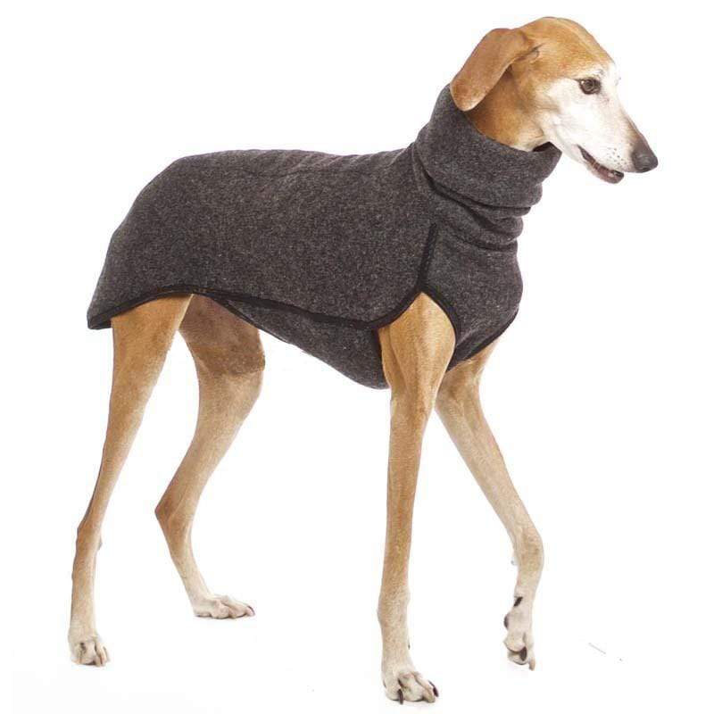 Winter High Collar Dog Sweater on a greyhound, featuring a high collar, stylish knit design, and soft rabbit fleece.