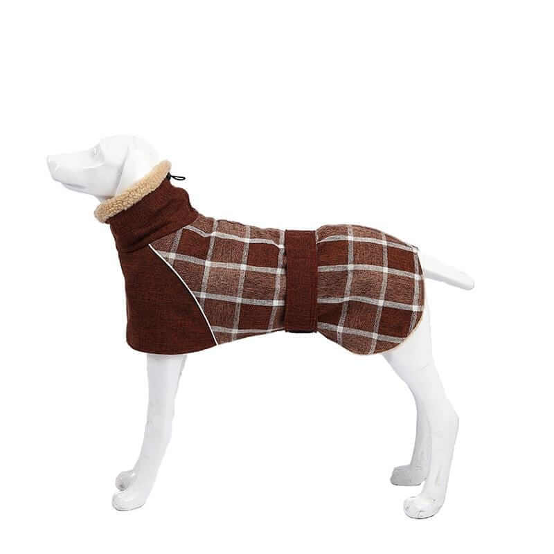 Wool Plaid Dog Coat on a model dog, showcasing the attractive plaid design and adjustable closure by Dogs & Cats.