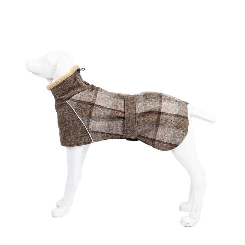 Wool Plaid Dog Coat on a dog, featuring adjustable neck closure and stylish plaid design for Dogs & Cats.