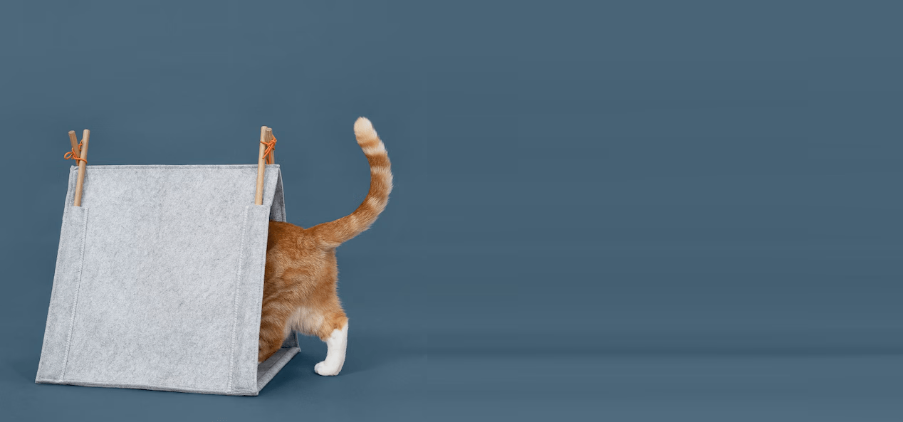 Cat entering a cozy tent from Dogs & Cats brand in the House collection.