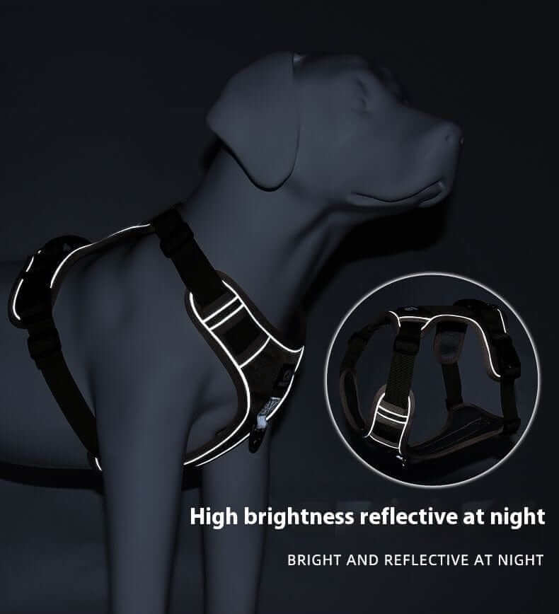 AdventureGuard Waterproof Dog Harness with reflective detailing for medium to large dogs by Dogs & Cats.