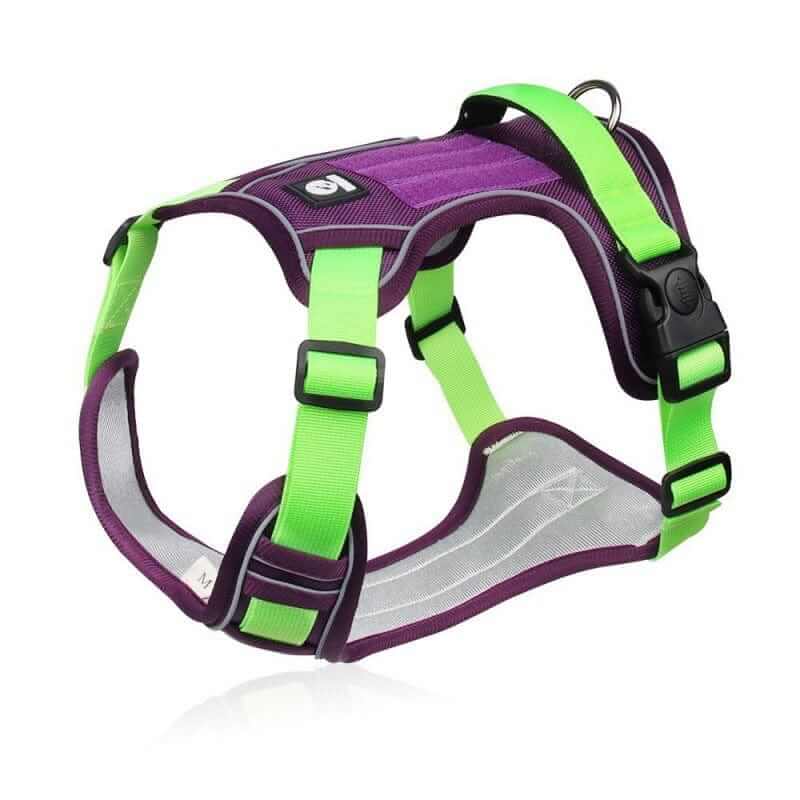 AdventureGuard Waterproof Dog Harness in purple and green, designed for medium to large dogs, rugged and secure.