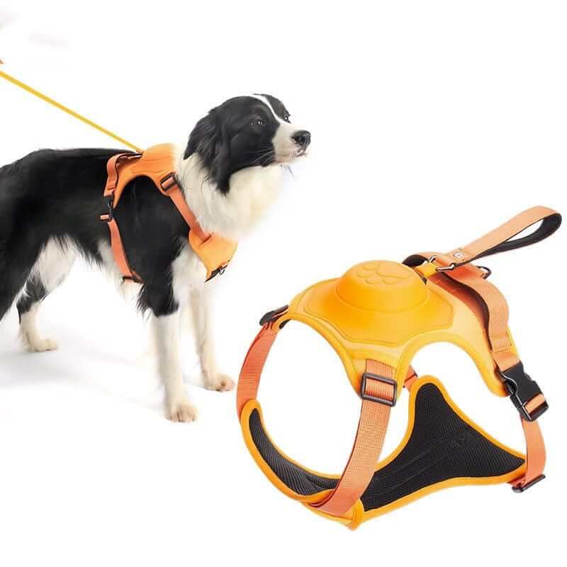 AirFlex Dog Harness on a dog, featuring a retractable leash and breathable design for comfort and control.