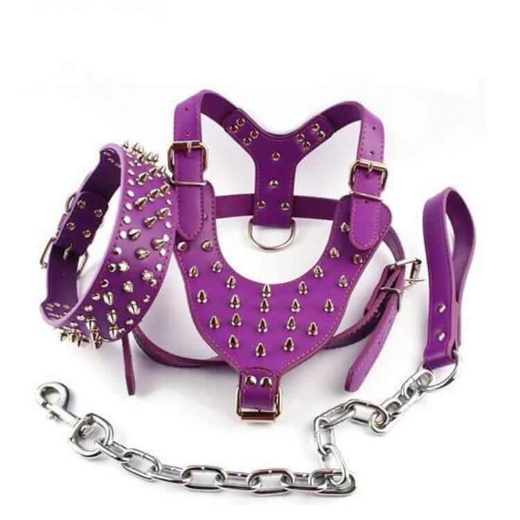 BoldGuard Spiked Dog Harness Set - purple studded leather harness, collar, and leash for large breeds, Dogs & Cats brand.