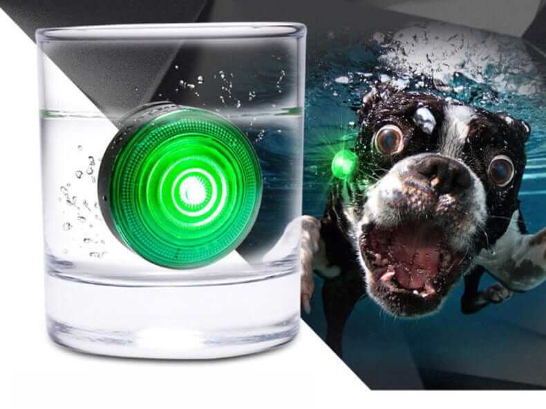 GlowGuard LED Dog Collar Light in water with a green glow, ensuring pet visibility for Dogs & Cats during night-time safety.