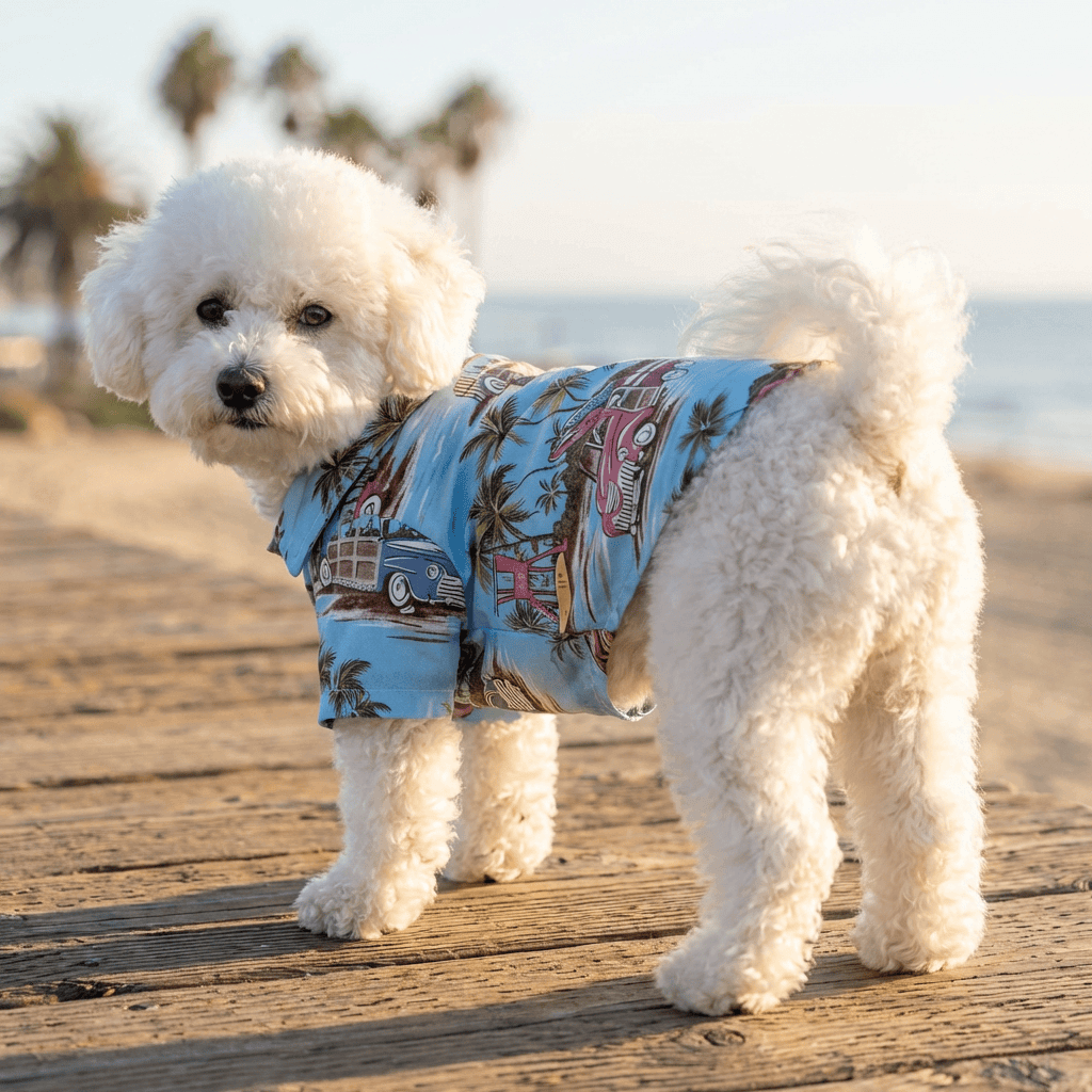 Adorable dog in a Hawaiian Print Beach Dog Shirt, perfect for summer fun, featuring lightweight and breathable cotton.