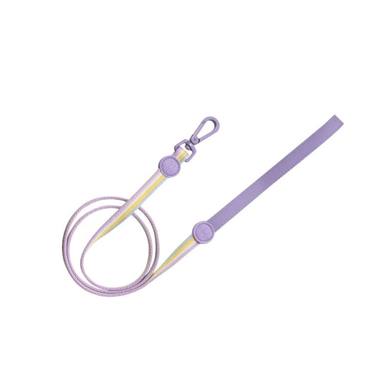 RetroRecord Dog Harness Set purple leash featuring durable material, stylish design, perfect for small to medium dogs.