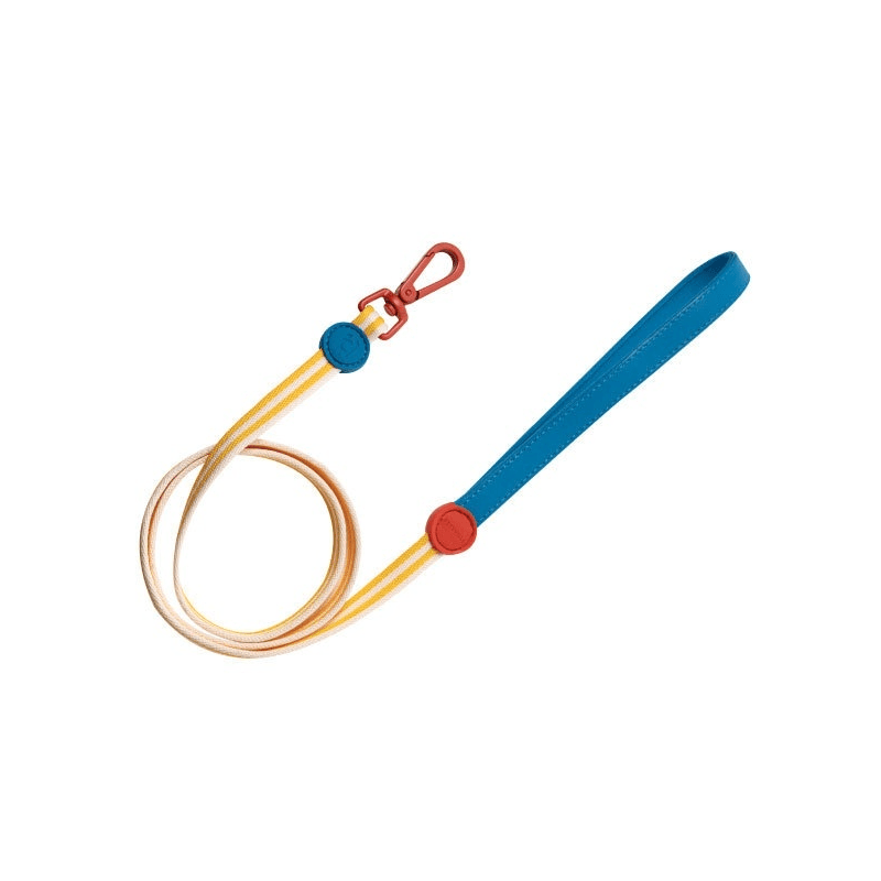 RetroRecord Dog Harness Set leash featuring vibrant colors and durable design for small to medium dogs.