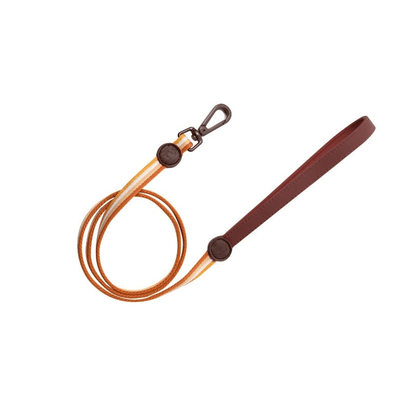 RetroRecord Dog Harness Set leash featuring vintage design for small to medium dogs by Dogs & Cats.