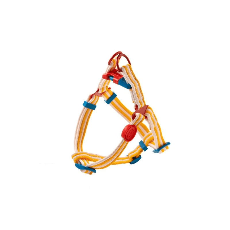 RetroRecord Dog Harness Set - Vintage style harness for small to medium dogs, colorful design for comfort and control.