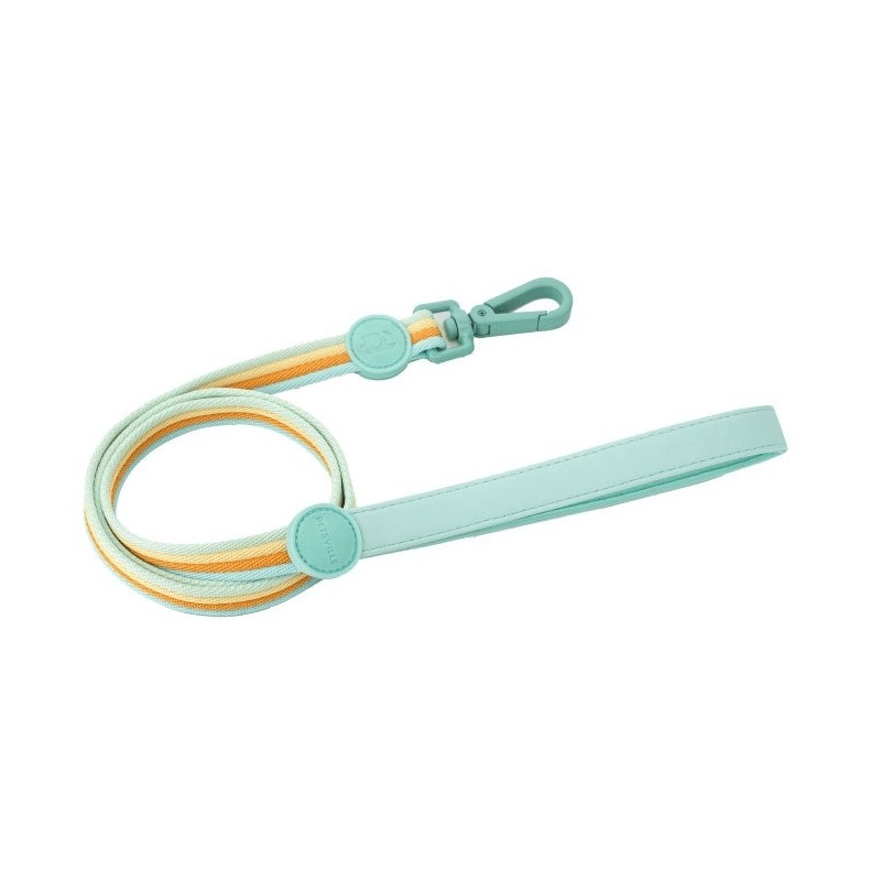 RetroRecord Dog Harness Set leash in mint green with orange accents for stylish pet walks.