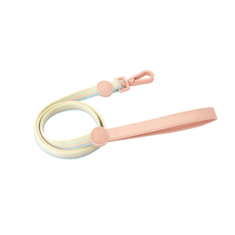 RetroRecord Dog Harness Set - Vintage style leash with comfortable grip and durable design for small dogs