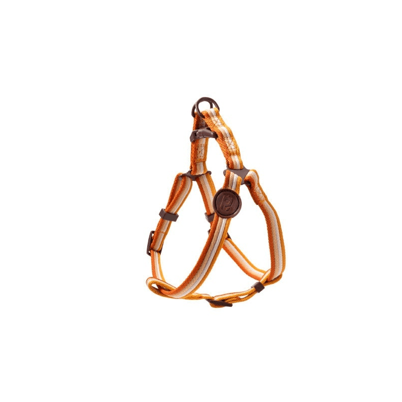RetroRecord Dog Harness Set - vintage style harness for small to medium dogs, combining comfort, durability, and retro design.