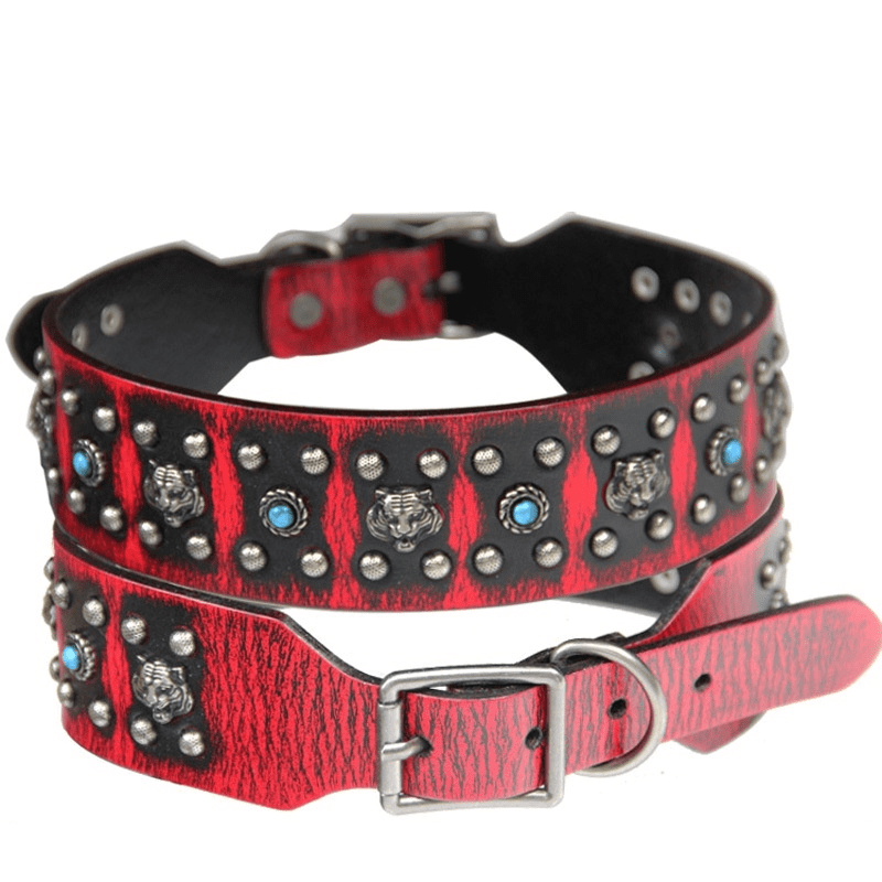 ToughSpike Leather Dog Collar, studded, durable design for medium to large dogs by Dogs & Cats.