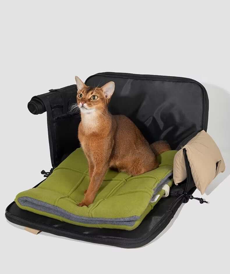 AirComfort Portable Pet Carrier with breathable design, ideal for dogs & cats on secure and comfortable travels.