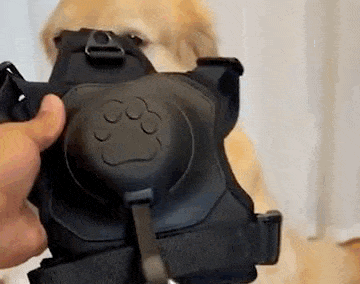 AirFlex Dog Harness - Comfortable, secure harness for dogs with adjustable fit and breathable materials by Dogs & Cats.