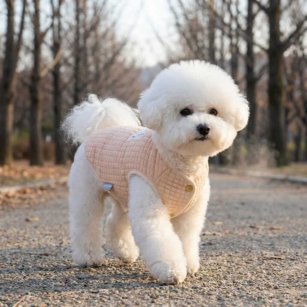 Always Cloudy Velvet Dog Vest Sweater on a fluffy white dog, showcasing its breathable soft fabric and lightweight design.