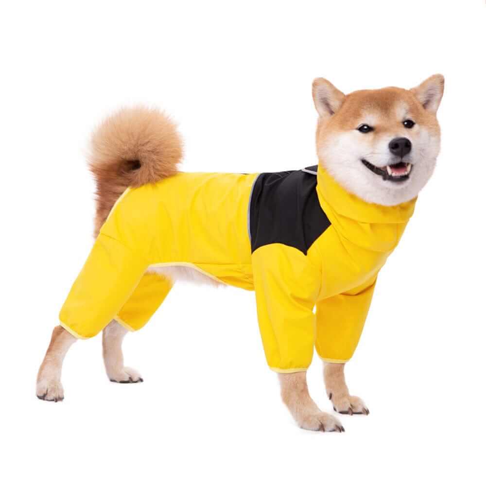 Anti-Storm Waterproof Dog Raincoat on a Shiba Inu, keeping dogs dry and stylish in all weather conditions.