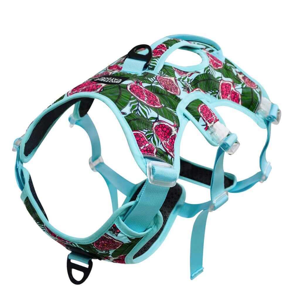 AquaGuard No-Pull Dog Harness featuring a turquoise print, adjustable straps, and designed for medium to large dogs by Dogs & Cats.