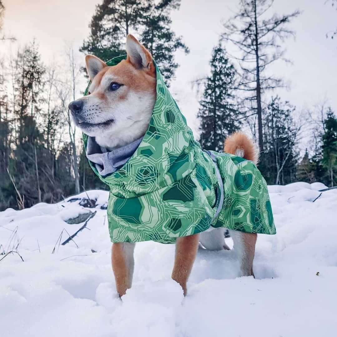 Arctic Paws Quilted Winter Dog Suit on a dog in snow, showcasing its waterproof design and cozy features.