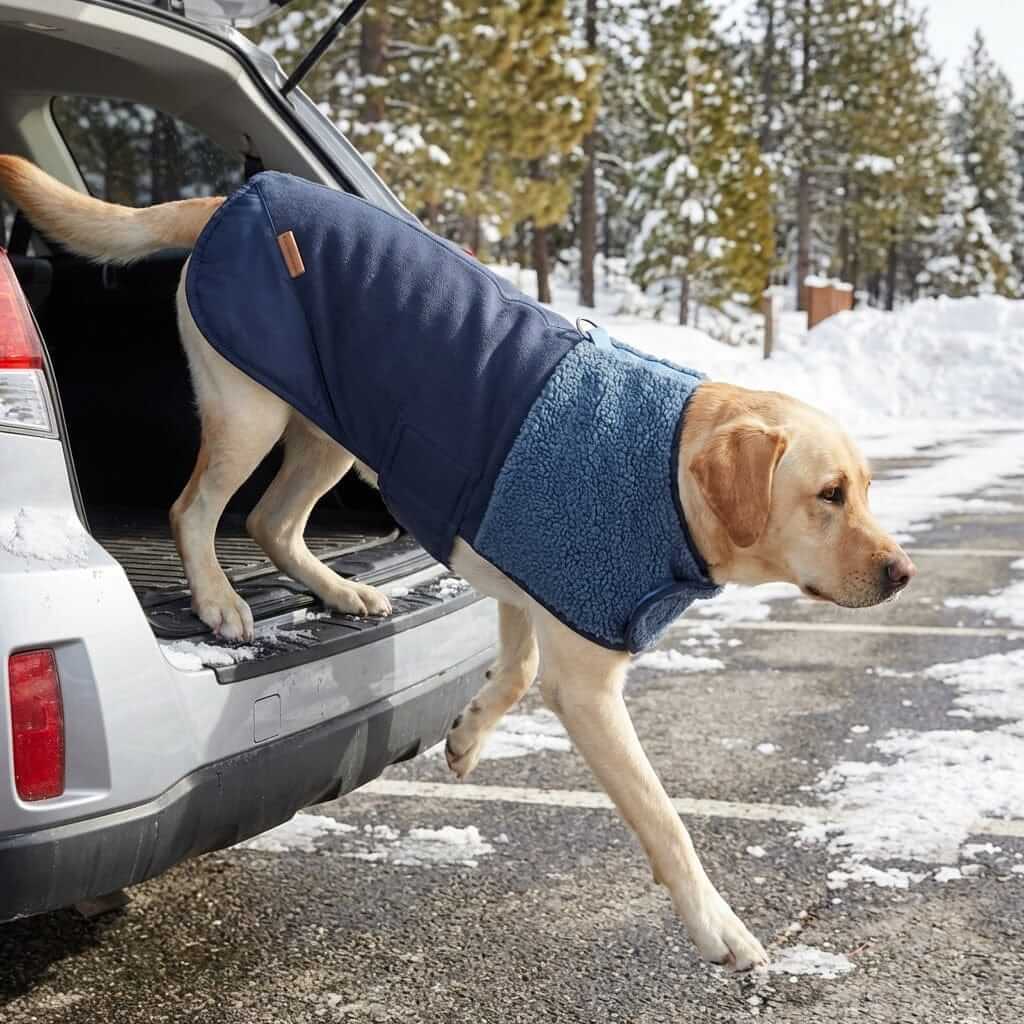 Arctic Sherpa Dog Jacket on dog leaving car in winter snow, featuring insulated warmth and premium comfort by Dogs & Cats.