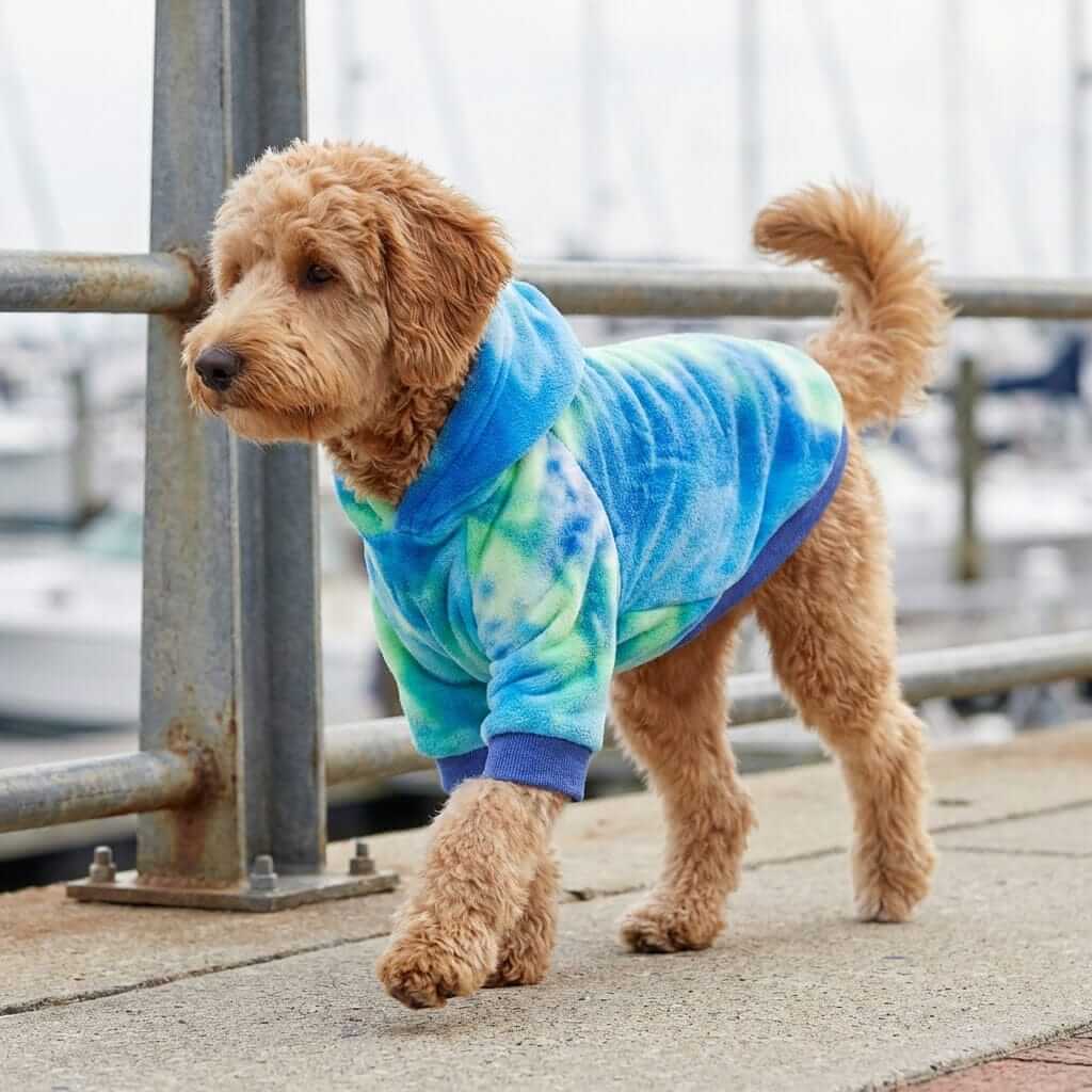 Dog wearing an Aurora Tie-Dye Dog Hoodie, showcasing vibrant colors and soft fleece for warmth and style in any season.
