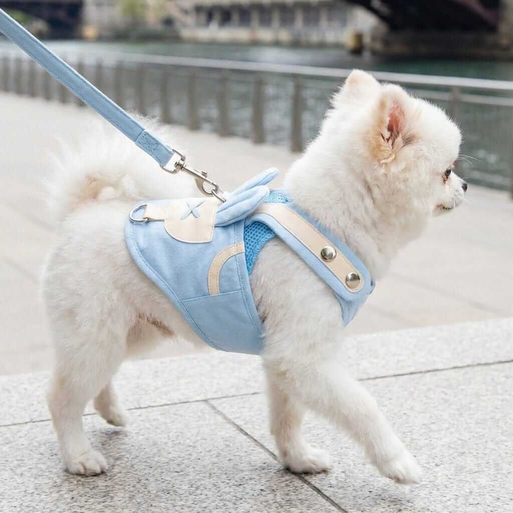 Beauty Walking Harness Set for dogs in light blue, featuring adjustable chest belt and soft padding for comfort.