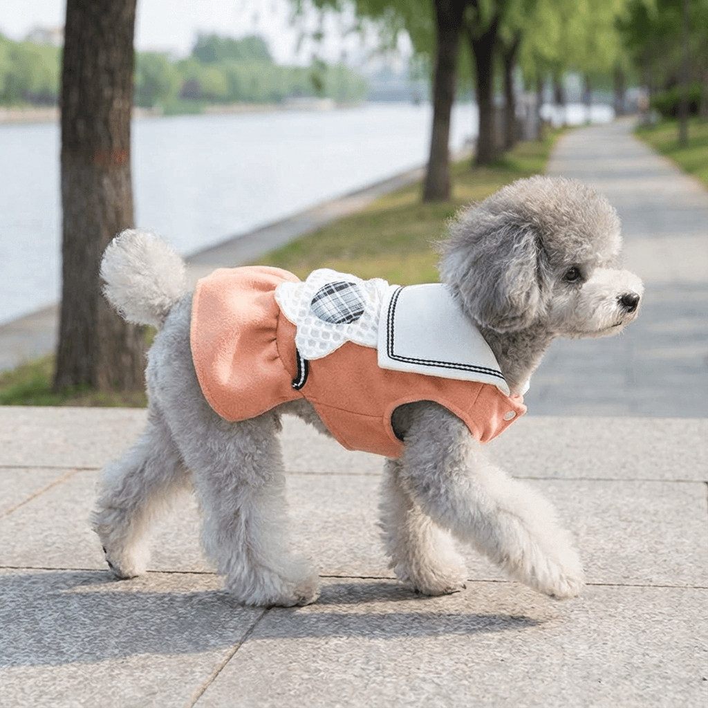 Big Flower Lapel Dog Dress on a stylish dog, featuring soft fabric and a chic flower design, perfect for dogs and cats.