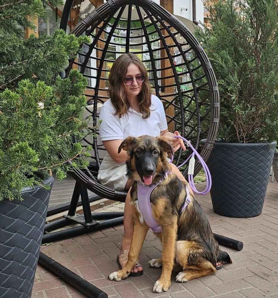 BiteGuard Harness, Collar & Leash Set used by a woman with her dog in a stylish garden setting.