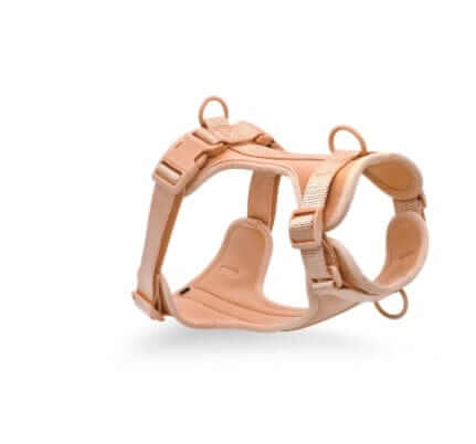 BiteGuard Harness, Collar & Leash Set - Durable harness for dogs, anti-fouling, bite-resistant, by Dogs & Cats.