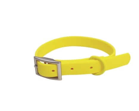 BiteGuard Harness, Collar & Leash Set - yellow collar featuring a sturdy buckle and durable design for dogs & cats.
