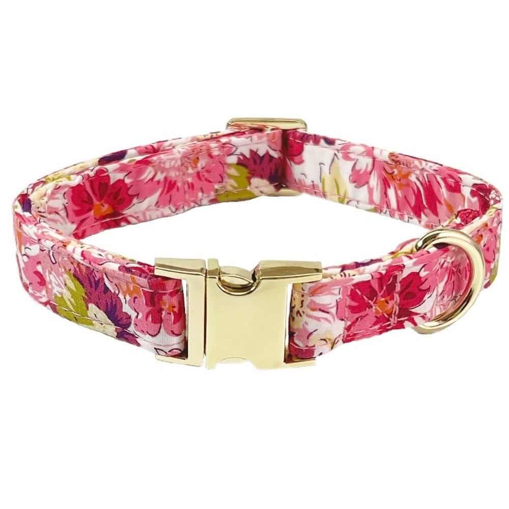 Bold Bloom Floral Metal Dog Collar featuring vibrant floral design, metal accents, ideal for medium and large dogs by Dogs & Cats.