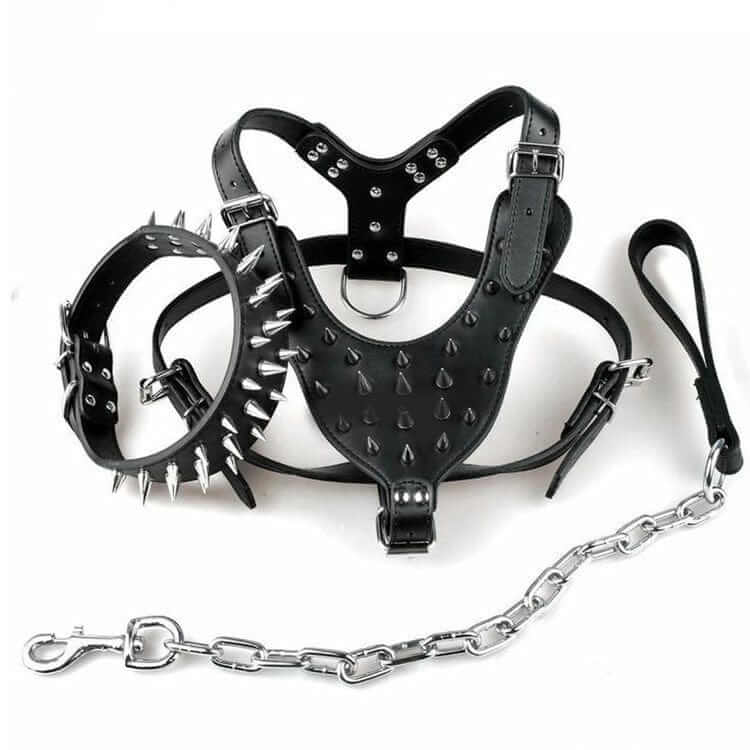 BoldGuard Spiked Dog Harness Set - leather harness, collar & leash with spikes, durable for large dogs.