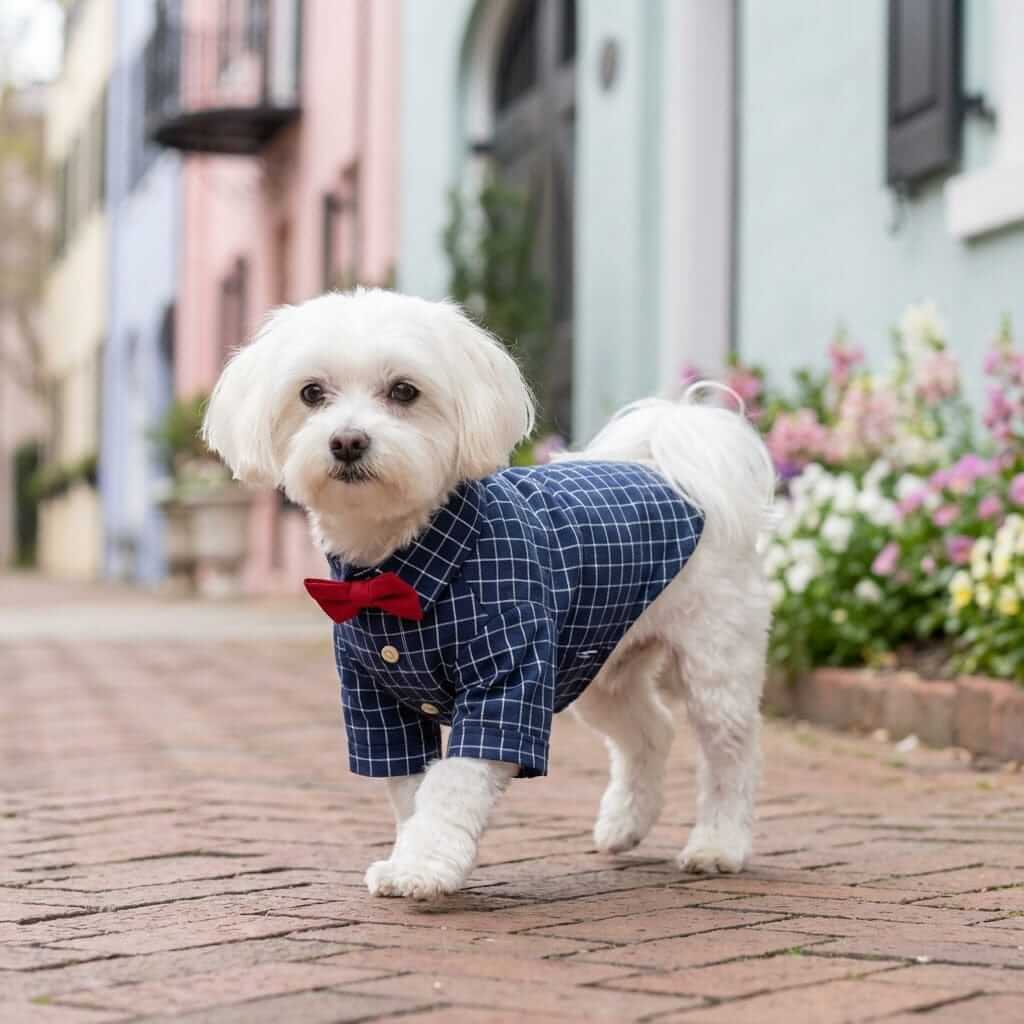 Bow Neckline Plaid Dog Shirt for Dogs & Cats, featuring short sleeves and a turn-down collar, perfect for a stylish pet.